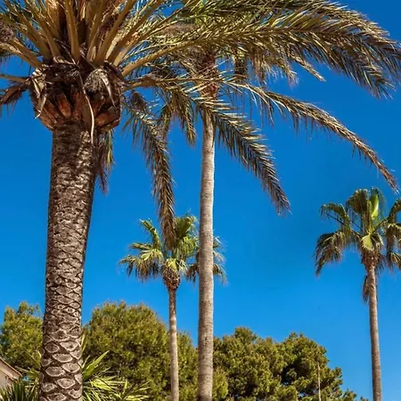 Appartamento Bonito Con Terraza, Jardin Y Piscina